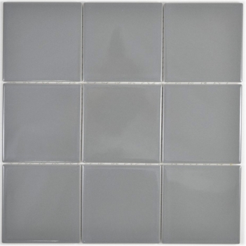Mosaik Fliese Wand Keramik metall glänzend Wandfliesen Badfliese Küchenfliese WC - MOS23-2203