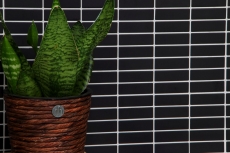 Mosaik Fliese Keramik Stäbchen schwarz matt Mosaikwand Küchenrückwand MOS24-0311_f