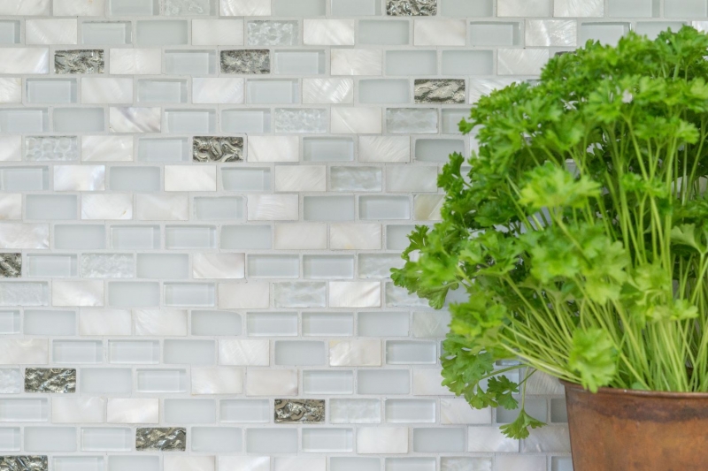 Mosaikfliese Küchenrückwand Transluzent weiß Brick Glasmosaik Crystal Stein Muschel weiß MOS87-B01S_f