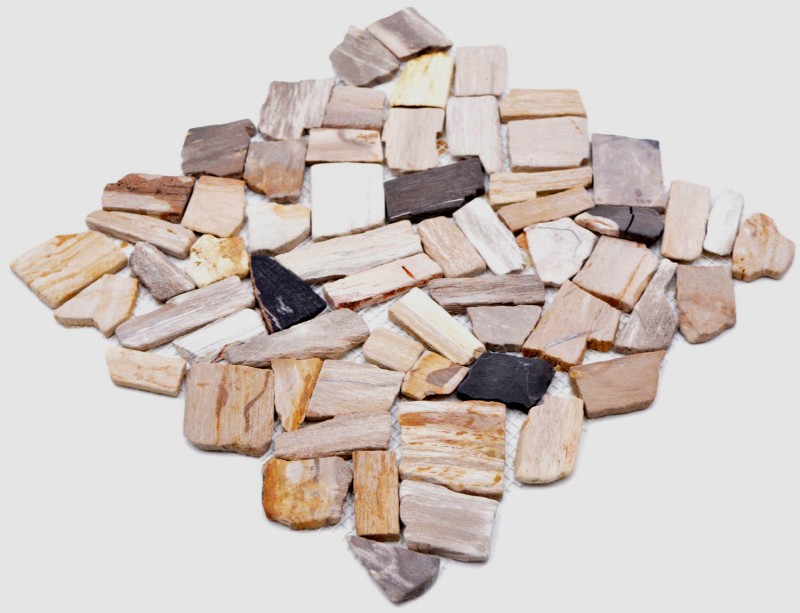 Mosaico in pietra naturale fossile Frattura poligonale Tappeto Mosiak Legno Piatto doccia effetto legno Parete cucina MOS44-Fossil_f