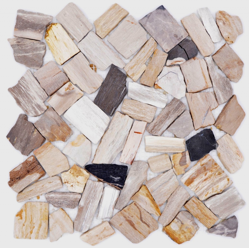 Mosaico in pietra naturale fossile Frattura poligonale Tappeto Mosiak Legno Piatto doccia effetto legno Parete cucina MOS44-Fossil_f
