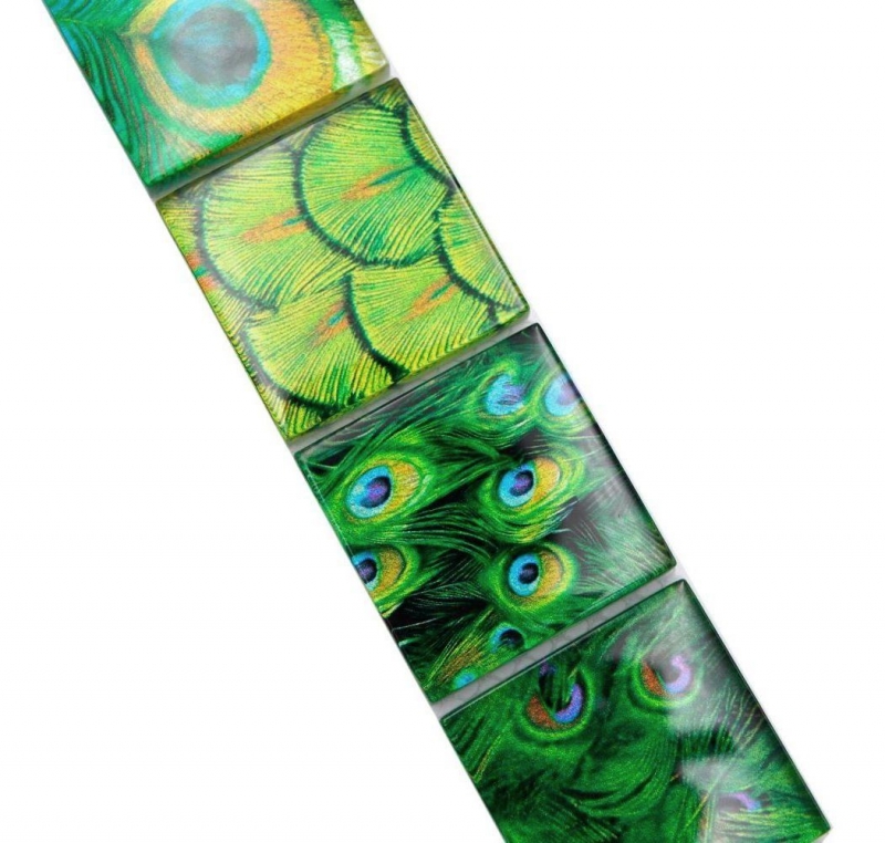 Mosaik Borde Bordüre Glasmosaik Tierwelt Pfau Dunkelgrün hellgrün gelb MOS78BOR-W88