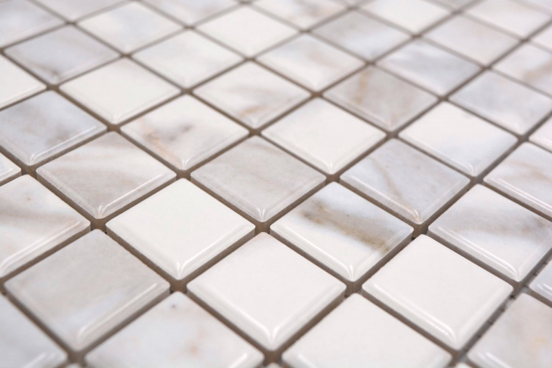 Jasba Agrob Buchtal Fresh Marble & More mosaic ceramic stoneware carrara white glossy marble look kitchen bathroom shower MOSJBMM17 1 mat