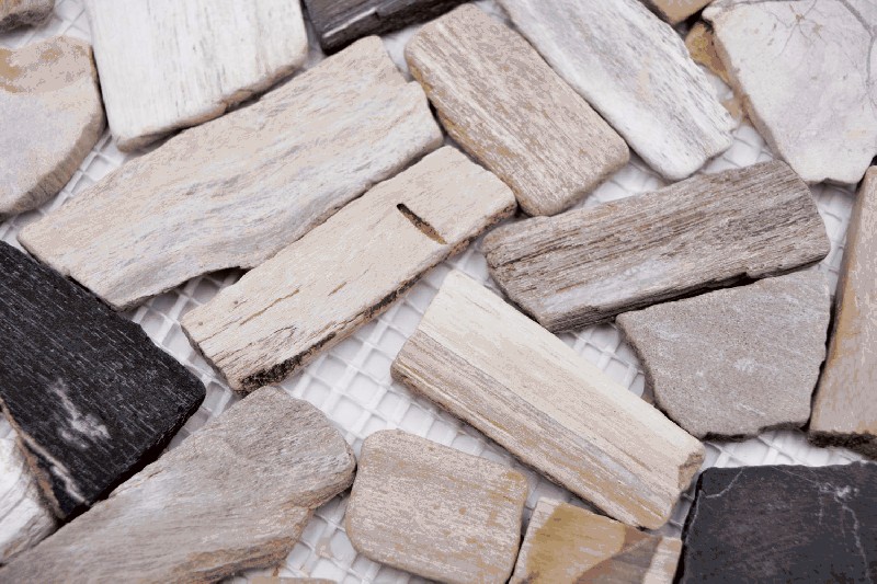 Hand sample Bruch/Ciot mix wood stone Fossil wall tile backsplash MOS44-Fossil_m
