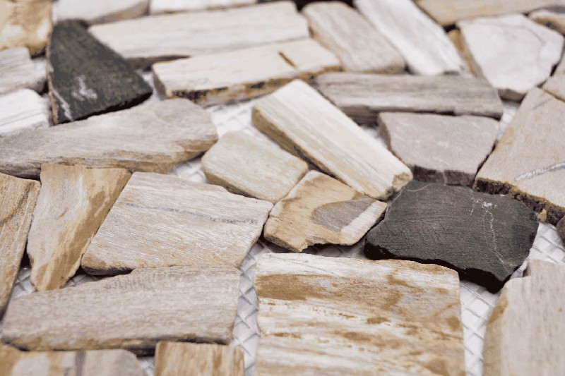 Hand sample Bruch/Ciot mix wood stone Fossil wall tile backsplash MOS44-Fossil_m