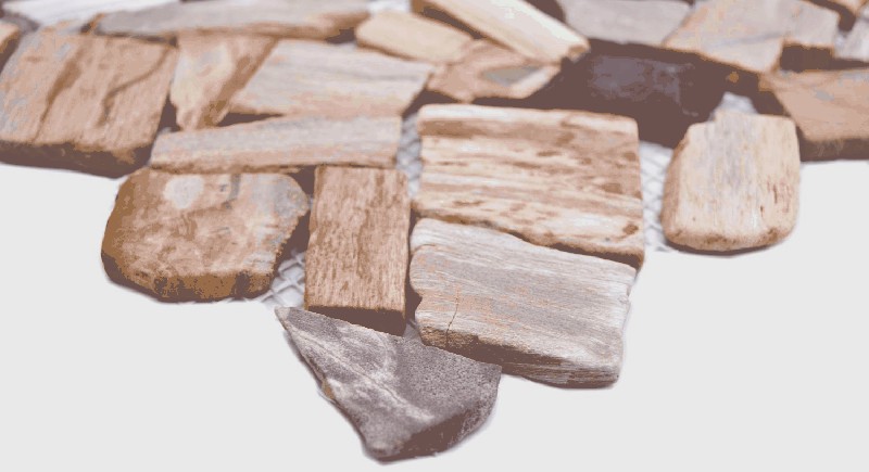 échantillon manuel Bruch/Ciot mix wood stone Fossil mur carrelage MOS44-Fossil_m