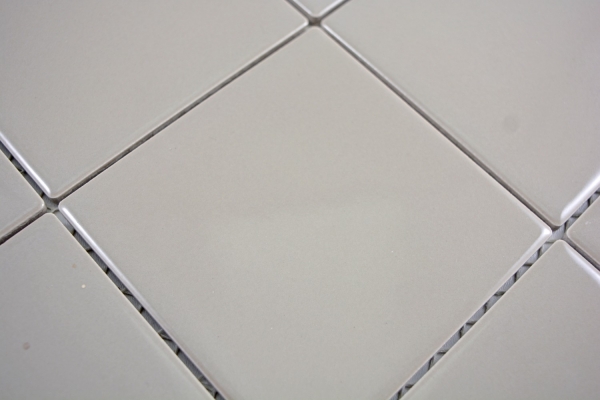 Mosaik Fliese Wand Keramik schlamm glänzend Fliese WC Badfliese Wandfliese Verkleidung WC - MOS23-2401