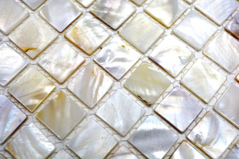 Mosaico in madreperla Mosaico a conchiglia bianco crema Schermo doccia MOS150-SM201