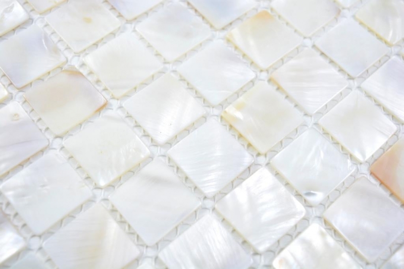 Mosaico di madreperla Mosaico di conchiglie bianco beige Schermo doccia MOS150-SM2525