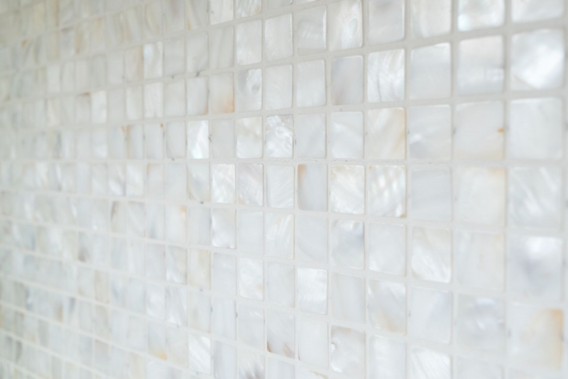 Mosaico di madreperla Mosaico di conchiglie bianco beige Schermo doccia MOS150-SM2525