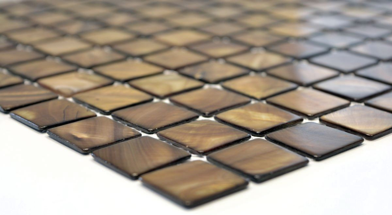 Mother-of-pearl mosaic Shell mosaic beige brown Tile backsplash Kitchen wall MOS150-SM2569