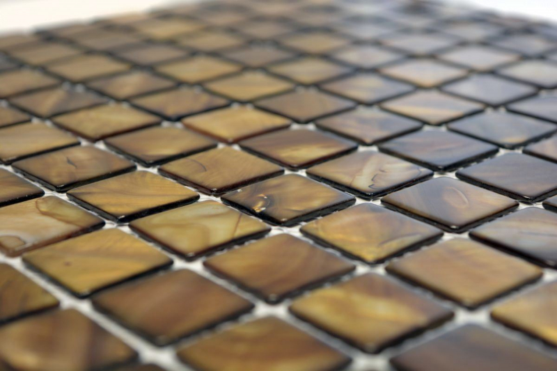 Conchiglia mosaico madreperla beige marrone piastrellato parete cucina MOS150-SM2569_f