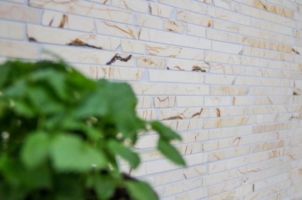 Mosaïque marbre pierre naturelle Brick composite bâtonnets or crème poli structure brillant mur cuisine - MOS40B-2807