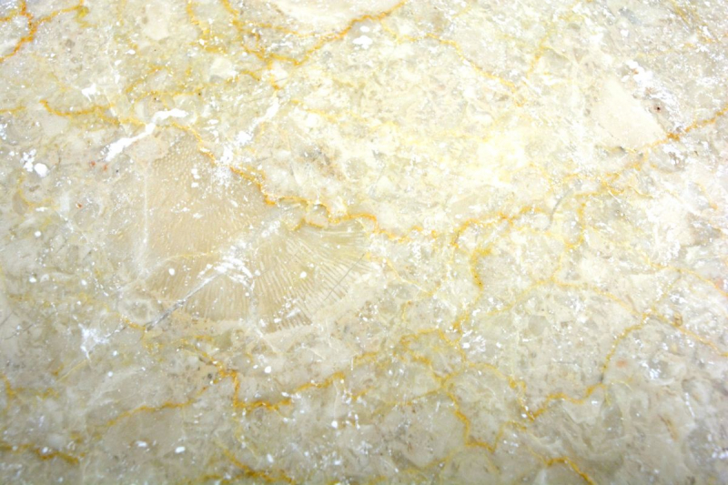 Carreau de marbre Pierre naturelle Botticino ivoire blanc crème Carreau de pierre naturelle aspect antique Carreau de sol Carreau de cuisine mur salle de bain - MOSF-45-46147