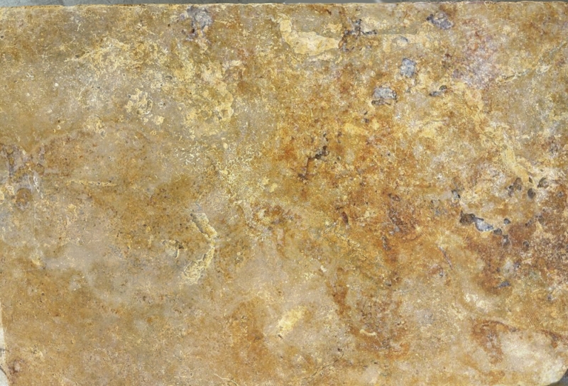 Piastrella travertino pietra naturale giallo oro piastrella pietra naturale oro marrone aspetto antico piastrella pavimento piastrella parete piastrella cucina - MOSF-45-51061