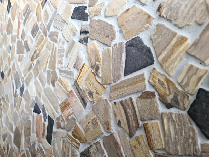Mosaico di cava Mosaico di pietra naturale fossile Tappetino di mosaico poligonale Legno Piatto doccia effetto legno Parete della cucina Rivestimento in piastrelle - MOS44-Fossil