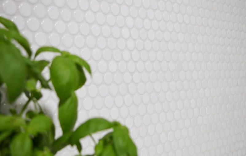 Handmuster Knopfmosaik LOOP Rundmosaik weiß glänzend Wand Küche Dusche BAD MOS10-0102_m