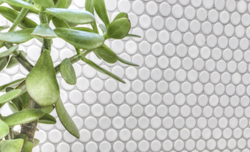 Pulsante mosaico LOOP mosaico rotondo bianco opaco parete cucina doccia BAD MOS10-0111_f | 10 tappetini mosaico