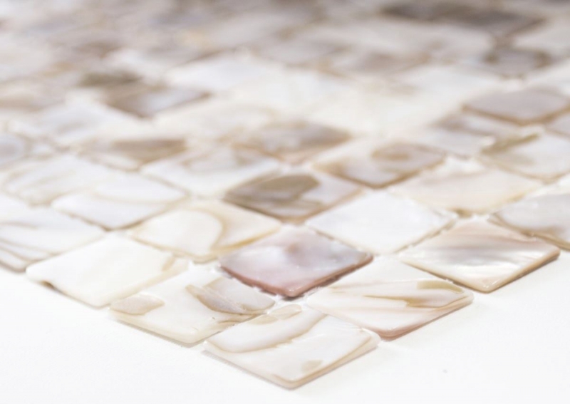 Mosaïque de coquillages beige clair Miroir de fond de cuisine MOS150-SM203_f