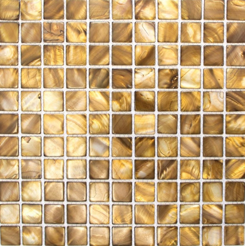 Mosaïque de coquillages nacrée beige marron Carrelage mural de cuisine MOS150-SM2569_f