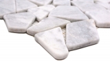 Natursteinmosaik Marmor weiss carrara matt Wand Boden Küche Bad Dusche MOS44-30-2030_m