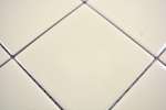 Handmuster Mosaik Fliese Keramik beige glnzend Fliese WC Badfliese MOS23-1201_m