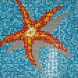 Seestern Schwimmbad Mosaik Pool Mosaik Mosaikbild orange gelb MOSMB-K39P