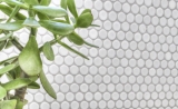 Knopfmosaik LOOP Rundmosaik weiß matt Wand Küche Dusche BAD MOS10-0111_f | 10 Mosaikmatten
